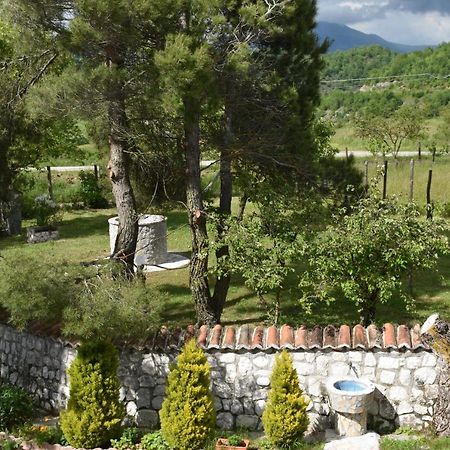 B&B Nel Verde Montesano sulla Marcellana Экстерьер фото