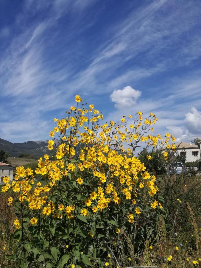 B&B Nel Verde Montesano sulla Marcellana Экстерьер фото