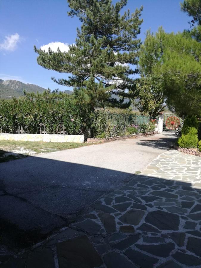 B&B Nel Verde Montesano sulla Marcellana Экстерьер фото