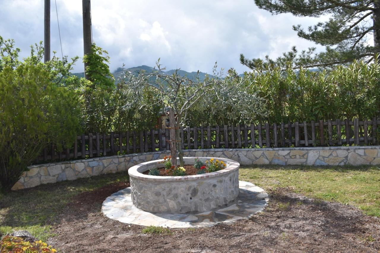 B&B Nel Verde Montesano sulla Marcellana Экстерьер фото