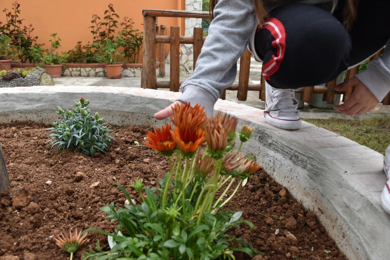 B&B Nel Verde Montesano sulla Marcellana Экстерьер фото