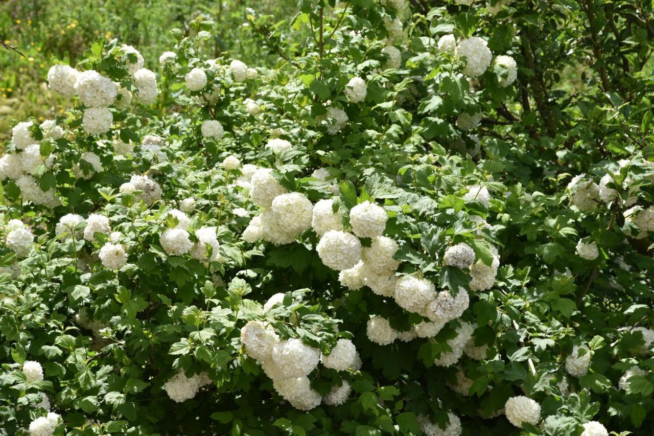 B&B Nel Verde Montesano sulla Marcellana Экстерьер фото