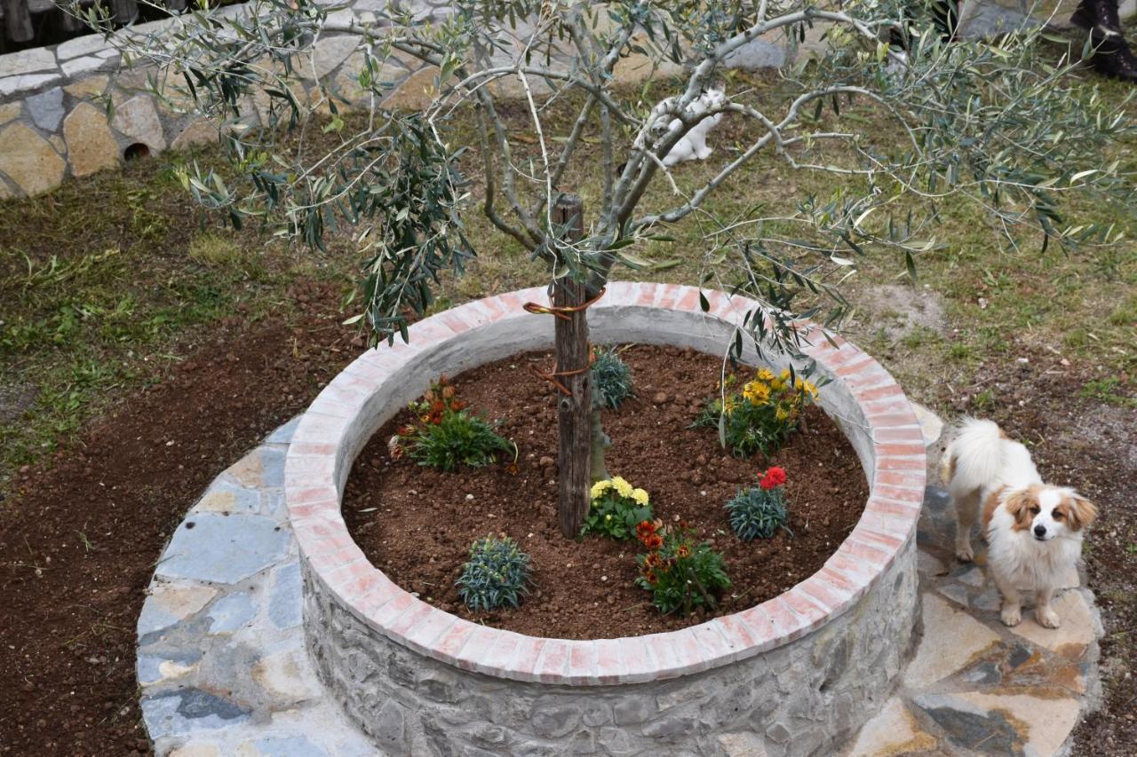 B&B Nel Verde Montesano sulla Marcellana Экстерьер фото