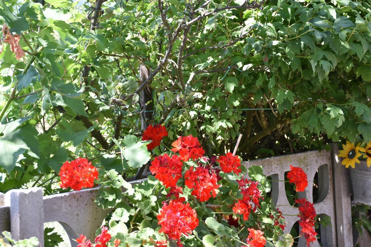 B&B Nel Verde Montesano sulla Marcellana Экстерьер фото